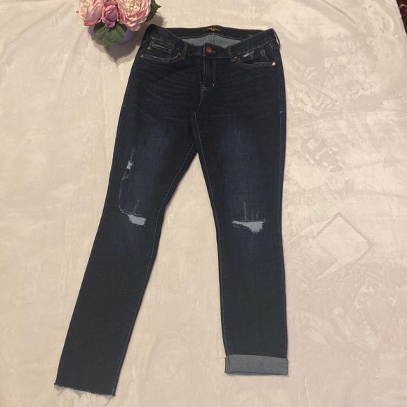 Dear John Denim - DEAR JOHN Joy Rich Comfort Skinny Size 26 Blue Jeans